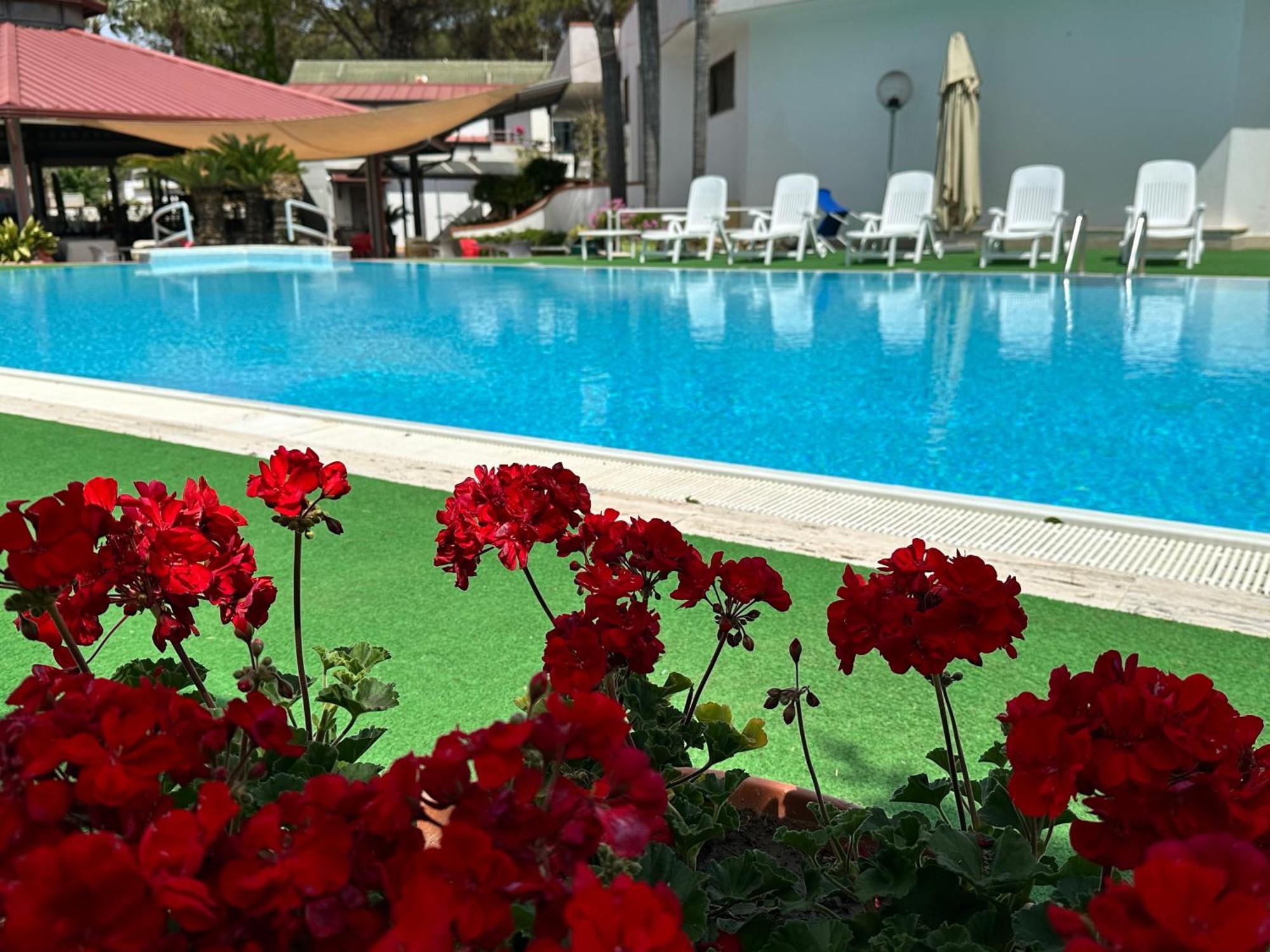 Hotel B&B Marina Capaccio Екстер'єр фото